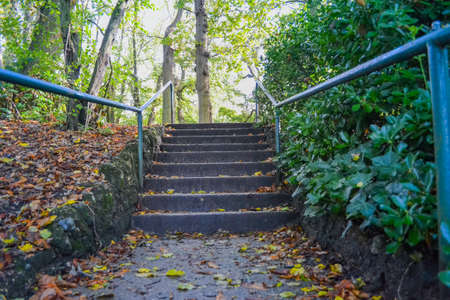 Staircase in the park in autumn with fallen leaves and green grassの写真素材