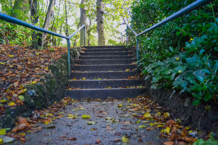 Staircase in the park with fallen autumn leaves. High quality photoの写真素材