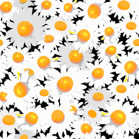 Vector illustration of floral seamless.White isolated flowers on a black  background.のイラスト素材