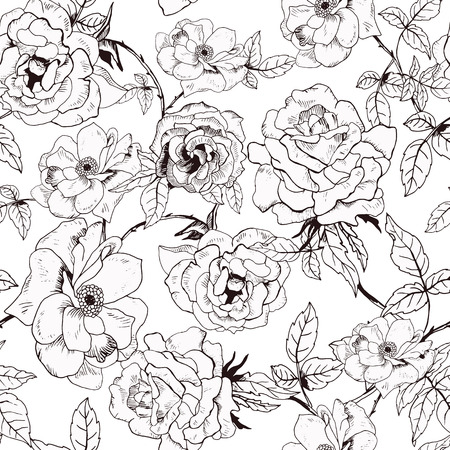 Abstract seamless pattern with hand drawing isolated white roses. Vector illustration.