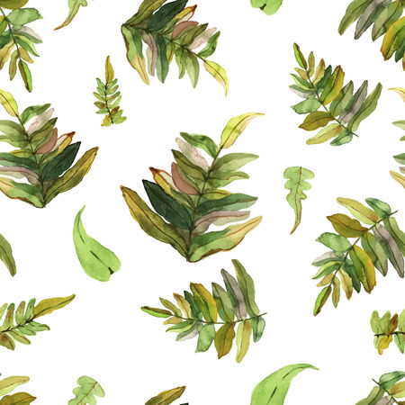 Vector illustration of floral seamless. Colorful isolated ferns on a white background, drawing watercolor.のイラスト素材