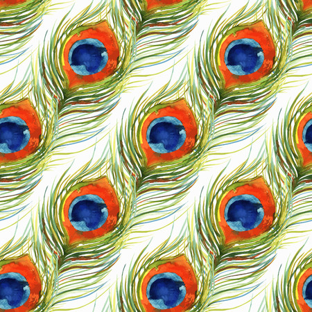 Colorful Peacock feather seamless pattern, drawing watercolor, on white background. Vector illustration.のイラスト素材