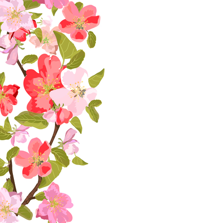 Greeting card, invitation. Frame for your text with floral background. Isolated flowers of sakura. illustration.のイラスト素材
