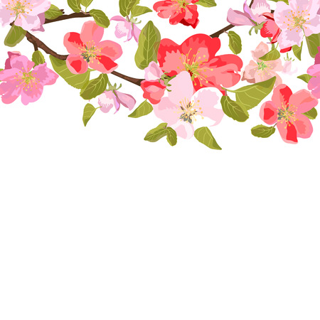 Greeting card, invitation. Frame for your text with floral background. Isolated flowers of sakura. illustration.のイラスト素材