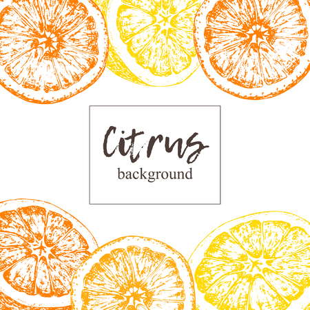 Set of isolated hand drawn oranges and lemons. Vector.のイラスト素材