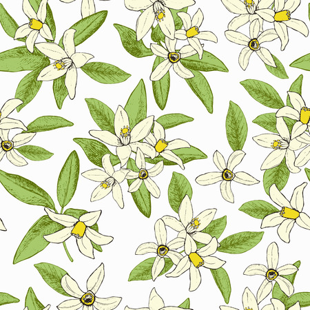 Floral spring seamless pattern of isolated hand drawn flowers inの写真素材