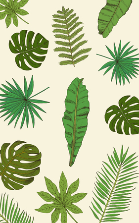 Collection with tropical leafs in sketch style.のイラスト素材
