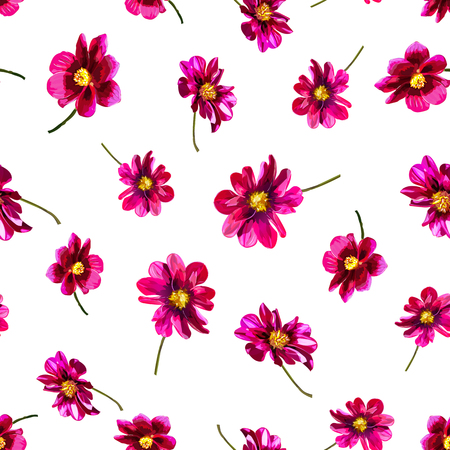 Abstract seamless pattern with isolated hand drawn red flowers on white background. Vector illustration.のイラスト素材