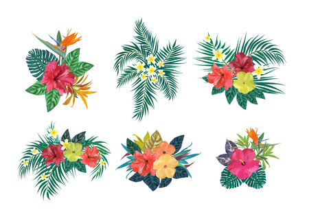Bouquets with tropical plants. Set with palm leaves, hibiscus, strelitzia, plumeria. Vector illustration. Design for invitation, prints, cards. のイラスト素材