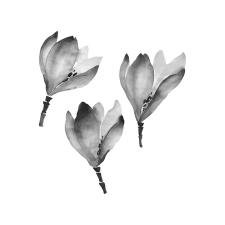 Watercolor flowers hand drawing set.のイラスト素材