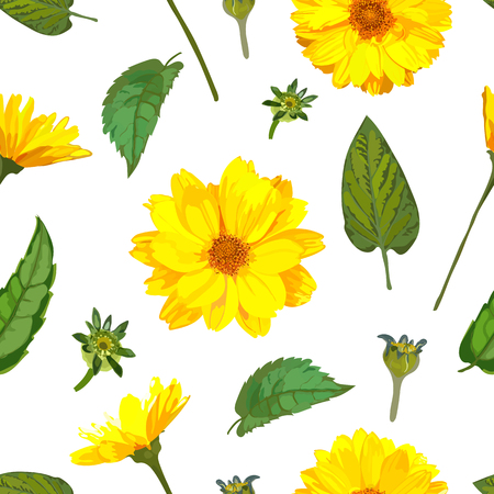 Seamless pattern with chrysanthemums flowers. Vector floral set with isolated colorful yellow plants. Golden-daisy.のイラスト素材