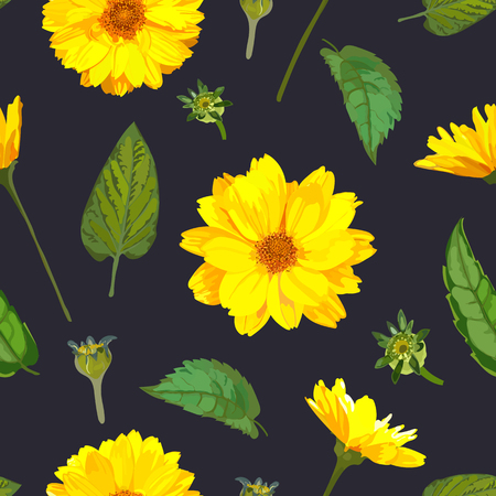 Seamless pattern with chrysanthemums flowers on black blue backgのイラスト素材