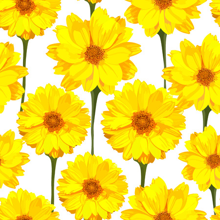 Seamless pattern with chrysanthemums flowers. Vector floral setのイラスト素材