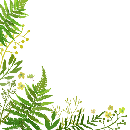 Frame with leaves. Vector floral set with hand drawn green foliaの写真素材