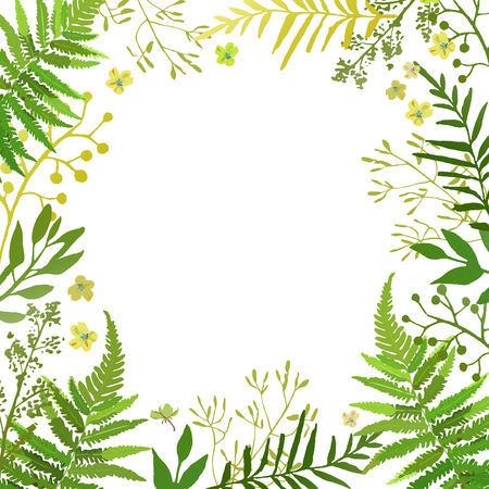Frame with leaves. Vector floral set with hand drawn green foliaの写真素材