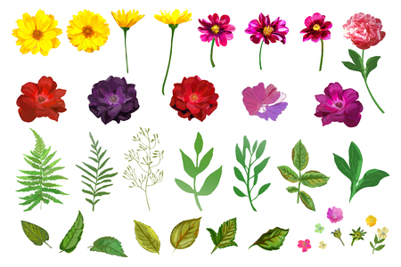 Floral set. Collection with isolated colorful hand drawn gardenのイラスト素材