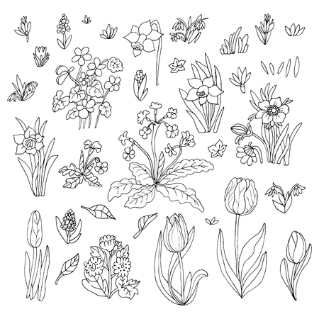 Flowers collection set. Design for greeting card. Cute floral cartoon set. Vector illustration.のイラスト素材