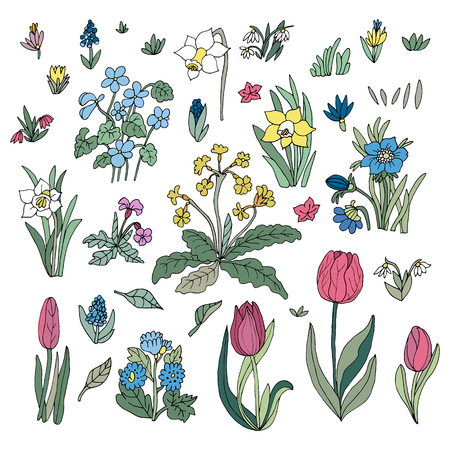 Flowers collection set. Design for greeting cards. Cute floral cartoon set. Vector illustration.のイラスト素材