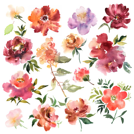 Watercolor flowers hand drawn colorful beautiful floral set withの写真素材