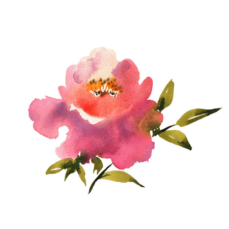 Watercolor flower hand drawn colorful beautiful background withの写真素材