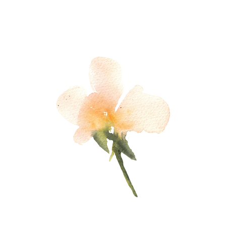 Watercolor flower hand drawn pastel beautiful background with yeの写真素材
