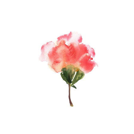 Watercolor flower hand drawn colorful beautiful background withの写真素材
