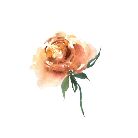 Watercolor flower hand drawn colorful beautiful background withの写真素材