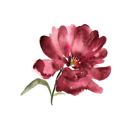 Watercolor flower hand drawn colorful beautiful background withの写真素材