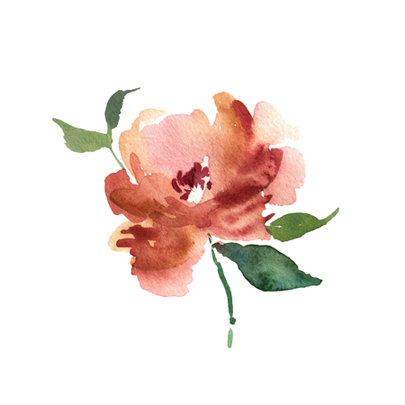 Watercolor flower hand drawn colorful beautiful background withの写真素材