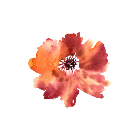 Watercolor flower hand drawn colorful beautiful background withの写真素材