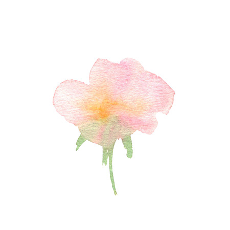 Watercolor flower hand drawn colorful beautiful background withの写真素材