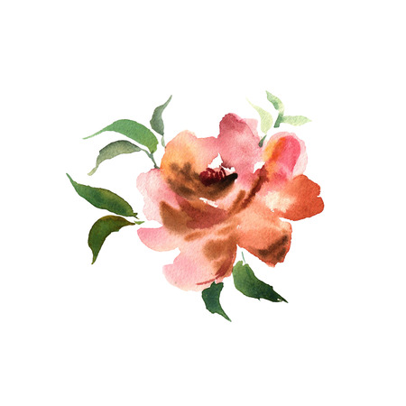 Watercolor flower hand drawn colorful beautiful background withの写真素材