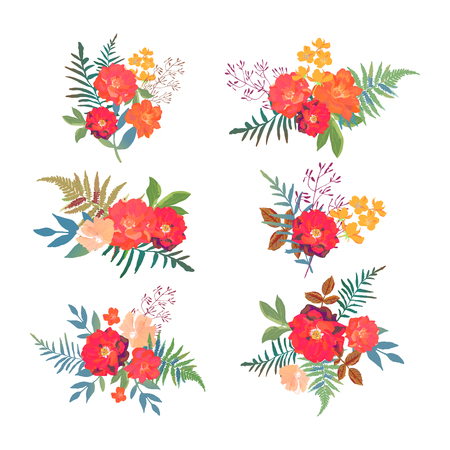 Floral set. Collection with red orange beautiful flowers. Hand dの写真素材