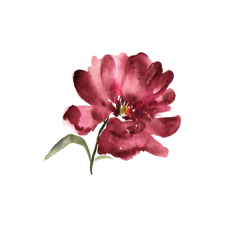 Watercolor flower.  Red beautiful hand drawn rose. Design for inのイラスト素材