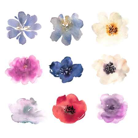 Watercolor flowers hand drawn colorful beautiful floral set with blossom plant for cards prints and invitation.の写真素材