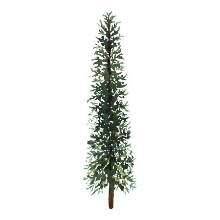 Watercolor green Christmas tree on white background. Isolated hand drawn elements for prints, cards.の写真素材
