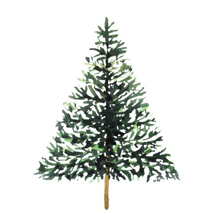 Watercolor green Christmas tree on white background. Isolated hand drawn elements for prints, cards.の写真素材