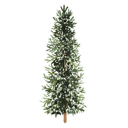 Watercolor green Christmas tree on white background. Isolated hand drawn elements for prints, cards.の写真素材