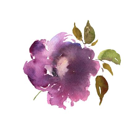 Watercolor flower hand drawn colorful beautiful purple isolated and blossom plant for cards prints and invitationの写真素材