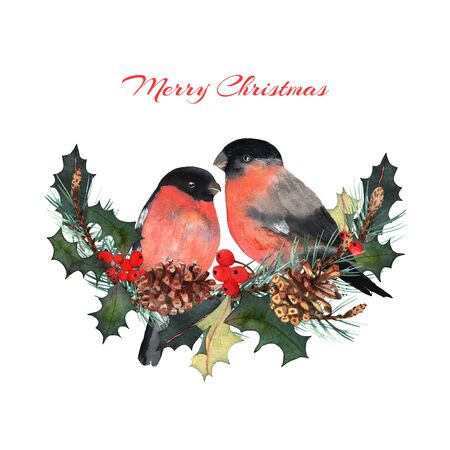 Bullfinch red birds winter christmas in cartoon style with winter bouquet. Winter holiday symbols in watercolor with fir cone, holly and red berry.の写真素材