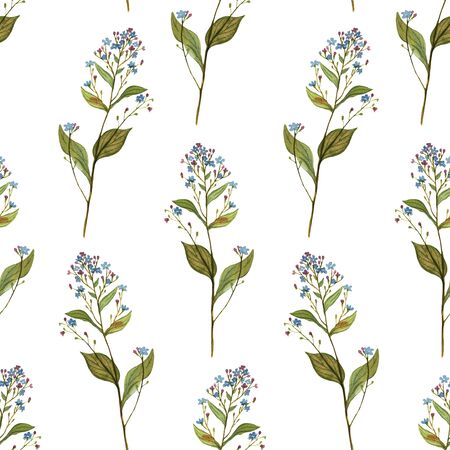 Decorative colorful flowers. Watercolor floral seamless pattern with beautiful forest plants: brunnera for wallpaper, prints design. Summer blue textile textureの写真素材