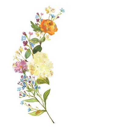 Hand drawn watercolor bouquet. Beautiful gentle flowers in the composition. Hydrangea, cornflowers, brunnera. Design for prints, invitations, textile.の写真素材