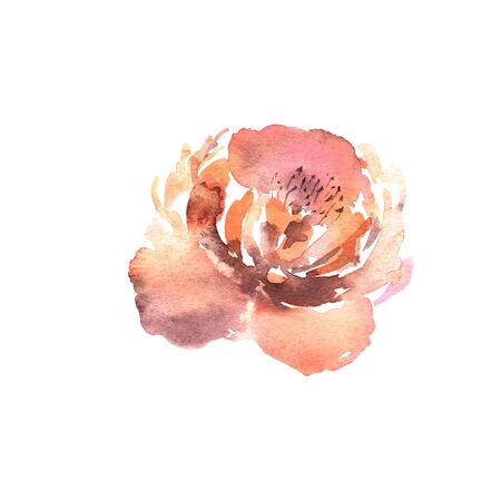 Watercolor flower, hand drawn colorful beautiful blossom plant for cards prints and invitation. Vector floral illustrationのイラスト素材
