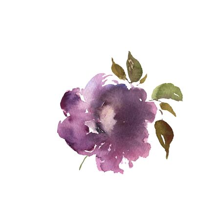 Watercolor flower, hand drawn colorful beautiful blossom purple plant for cards prints and invitation. Vectorのイラスト素材