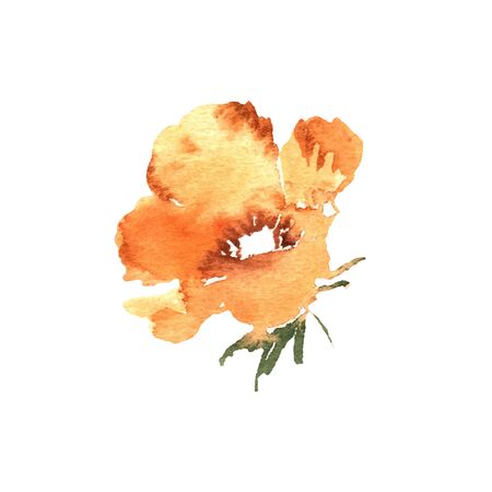 Watercolor flower, hand drawn colorful beautiful blossom yellow plant for cards prints and invitation. Vector floral illustrationのイラスト素材