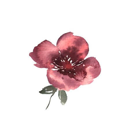 Watercolor flower, hand drawn colorful beautiful blossom red plant for cards prints and invitation. Vector floral illustrationのイラスト素材