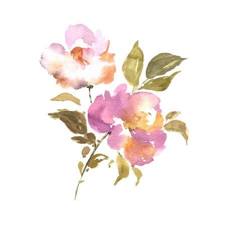 Watercolor flower, hand drawn colorful beautiful blossom pink plant for cards prints and invitation. Vector floral illustrationのイラスト素材