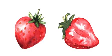 Red strawberries and a strawberry slice. Bright delicious color. Sweet fruit. Vectorのイラスト素材