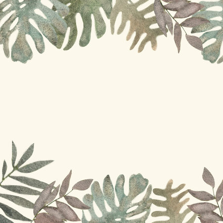 Palm monstera leaves in watercolor on white background. Beautiful tropical exotic foliage. Summer tropical leaf. Watercolor frame illustration.の写真素材