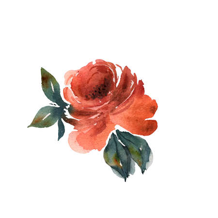 Flowers hand drawn colorful beautiful floral set with yellow pink red blossom plants for cards prints and invitation. Watercolor textureの写真素材